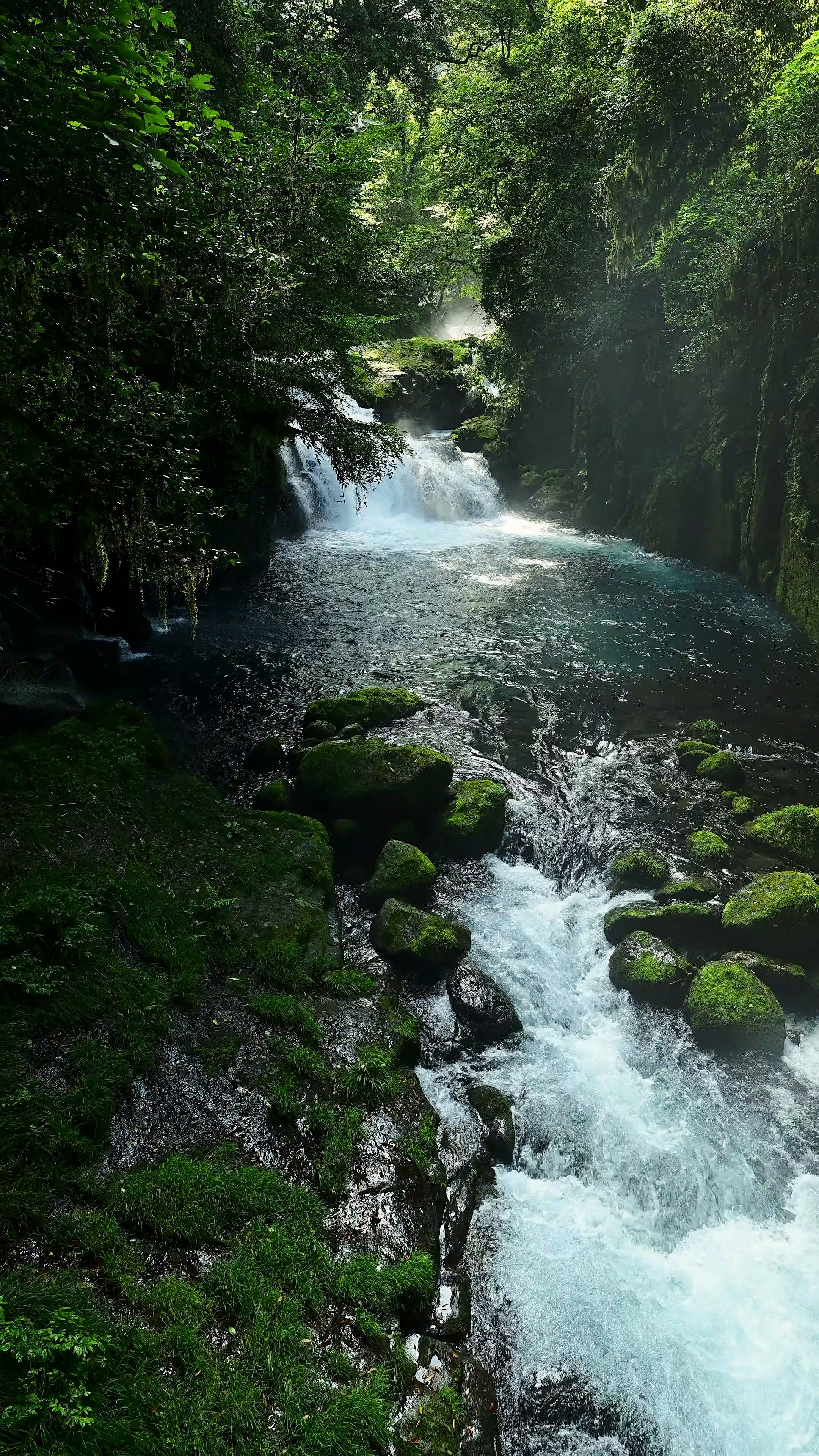 Waterfall Mountainstream