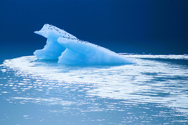 Glacier Sea Ocean Water Nature