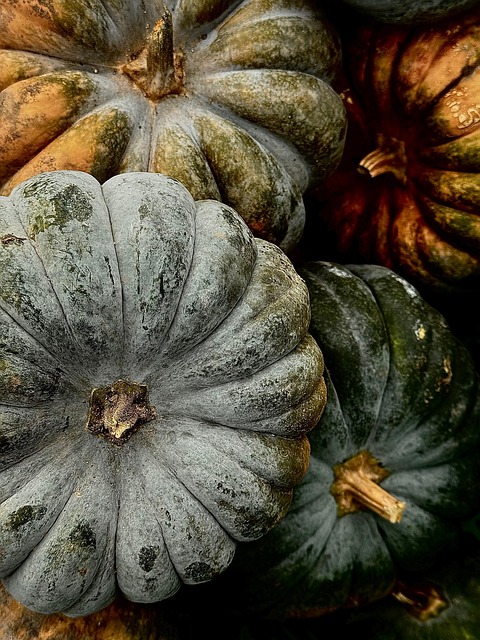 Pumpkins Halloween October Fall